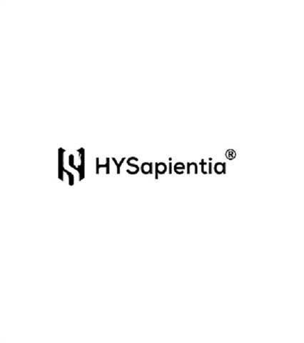 Air Fryer Ovens Are HYSapientia's Specialty