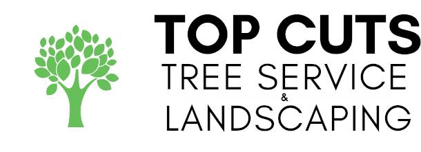 Top Cuts Tree Service & Landscaping Services In MD