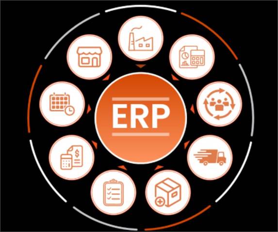 Professional ERP Implementation Services