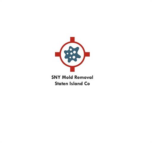 SNY Mold Removal Staten Island Co