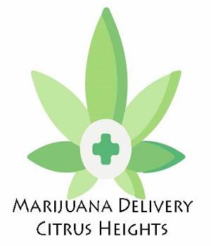 Care Leaf Marijuana Delivery