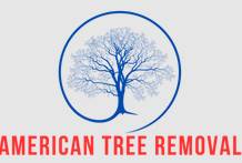 American Tree Removal