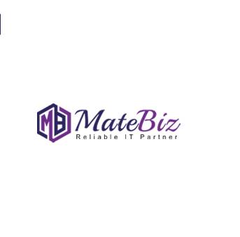 Web Design Company | Web Development Company India - Matebiz