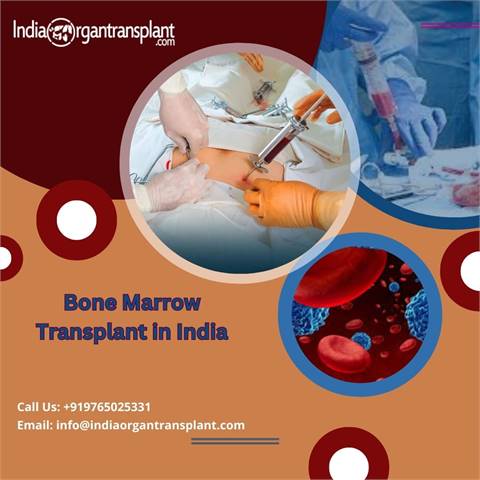 Bone Marrow Transplant Cost India