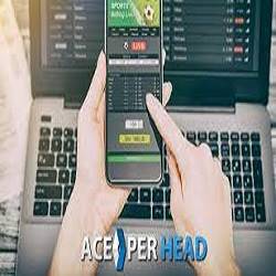 2023 Best Pay Per Head Review | Top 9 Bookie Software Sites