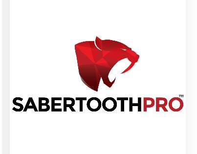 Sabertooth Tech Group, LLC.