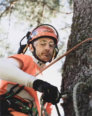 Stevens Point Tree Doctors