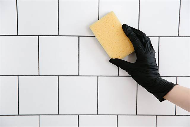 Tile and Grout Cleaning Avondale