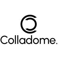 Colladome IT Services Company