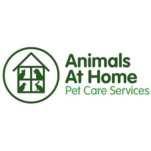 Animals at Home