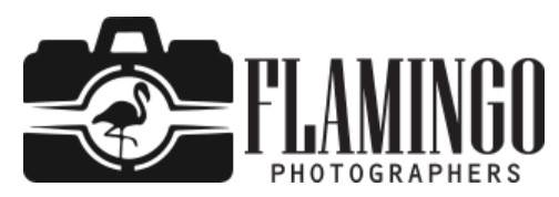 Flamingo Photographers