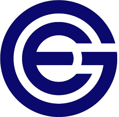 EG INSURANCE GROUP