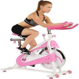 freebeat™ Lit Bike Aurora Pink Exercise Bike | Stationary Bike