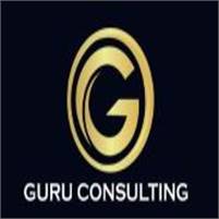 Guru Consulting Andrew  Theodore